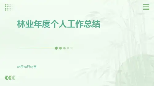 林业年度个人工作总结PPT