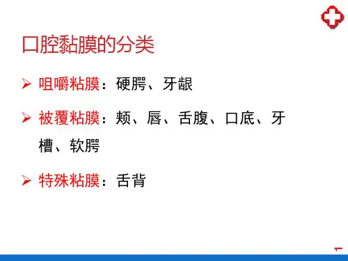 口腔黏膜—口腔黏膜的分类(口腔组织病理)