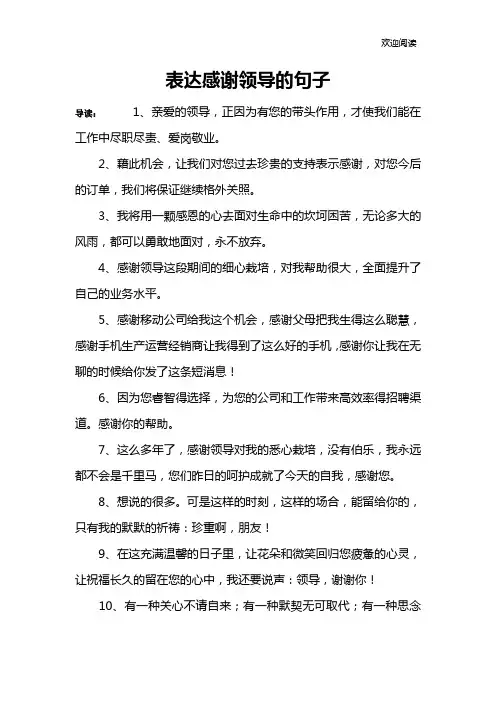 表达感谢领导的句子