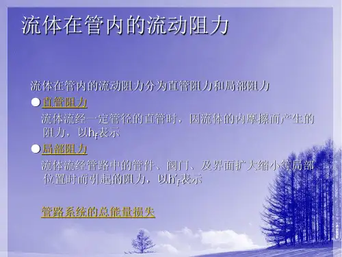 流体在管内的流动阻力