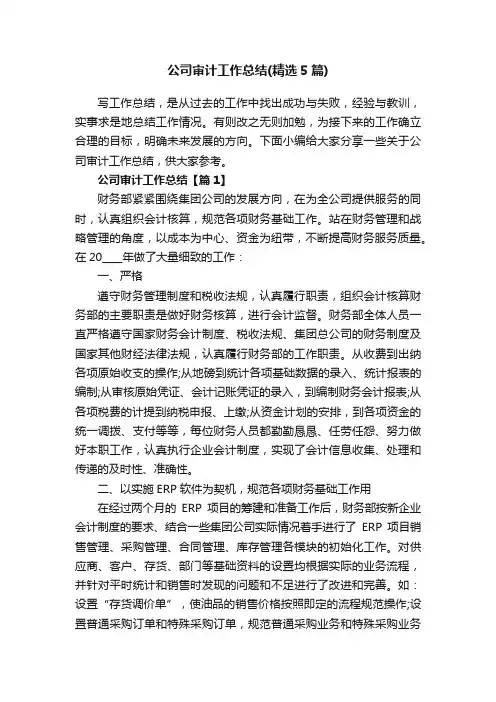 公司审计工作总结（精选5篇）
