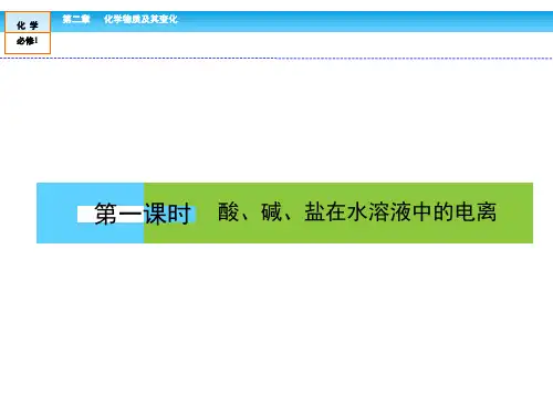 离子反应实用ppt人教版