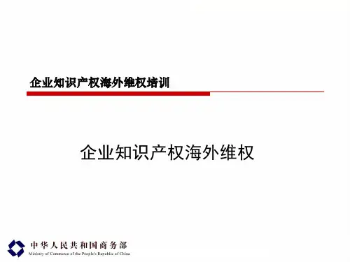 企业知识产权海外维权
