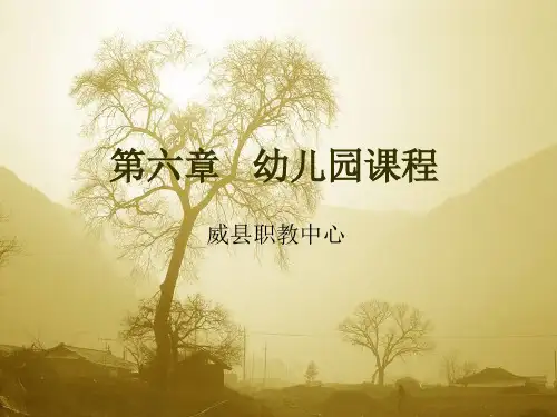 第六章 幼儿园课程完整课件