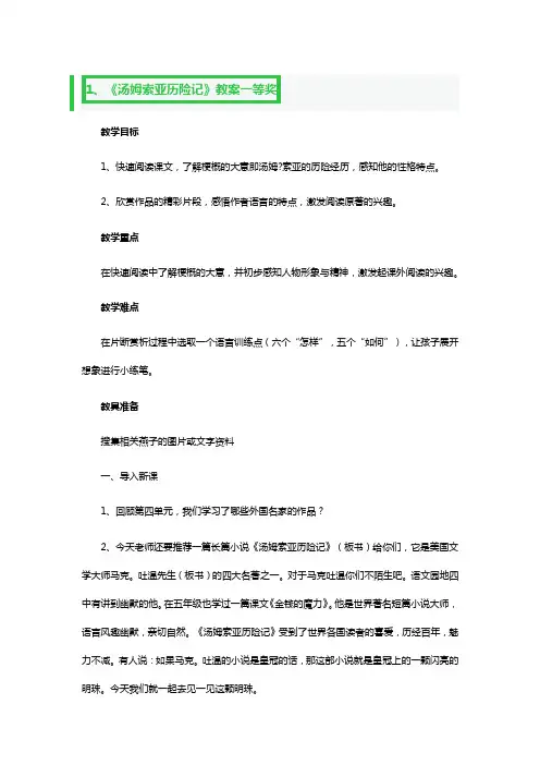 《汤姆索亚历险记》教案一等奖3篇