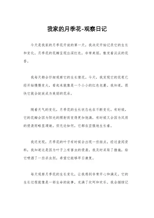 我家的月季花-观察日记