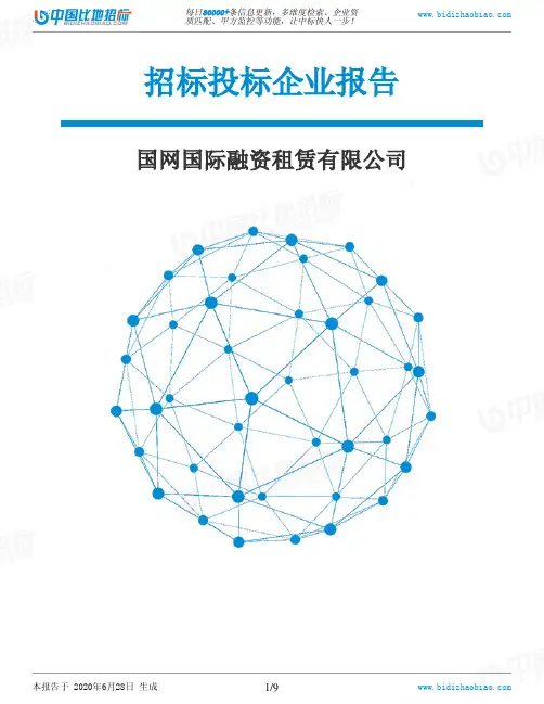 国网国际融资租赁有限公司-招投标数据分析报告