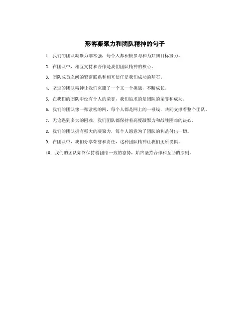 形容凝聚力和团队精神的句子