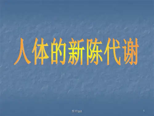 科学浙教版九上第四章复习