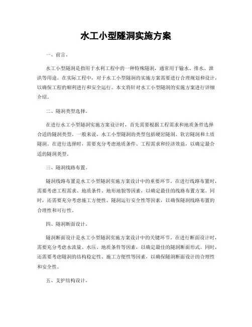 水工小型隧洞实施方案
