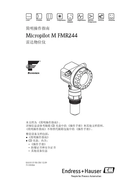 E+H MicroPilot Fundation M FMR244 雷达物位计简明操作指南