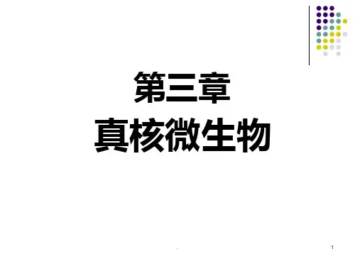 第三章-真核微生物PPT课件