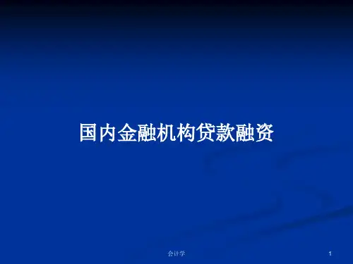 国内金融机构贷款融资PPT学习教案