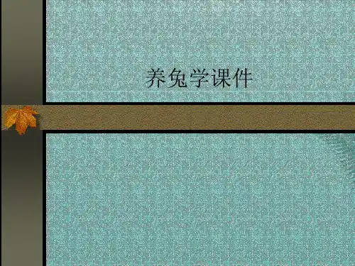 养兔学课件(精选优秀)PPT