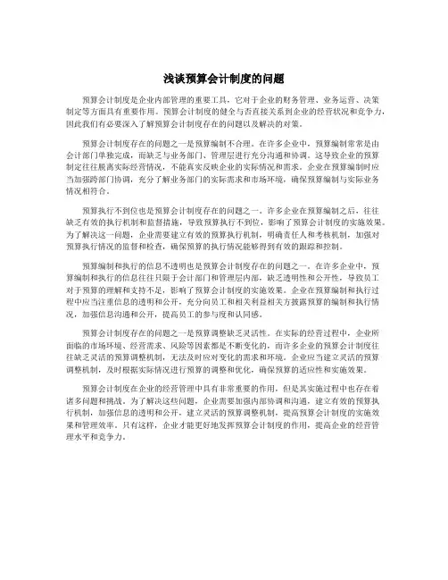 浅谈预算会计制度的问题