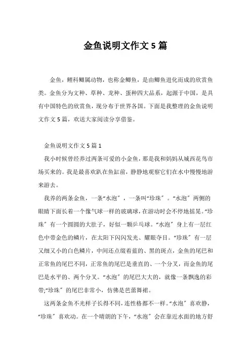 (说明文)金鱼说明文作文5篇