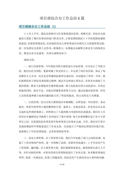 项目部综合办工作总结6篇