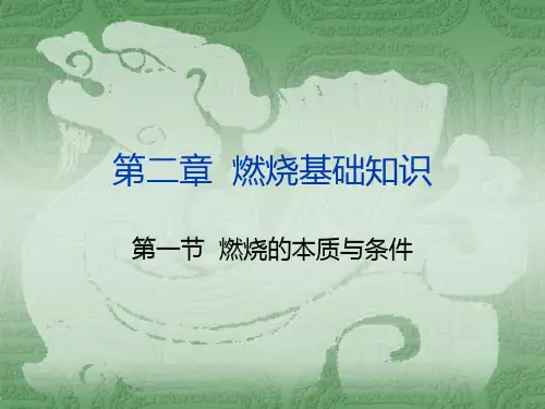 第二章  燃烧学基础