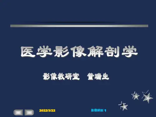 头颈部影像解剖第十二章-肝、胆、胰、脾