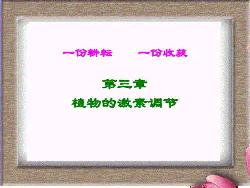 高中生物必修三第三章复习课件