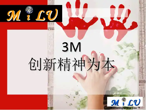 3m公司案例(中山大学营销学研究生课程)