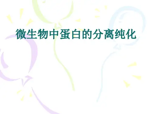 微生物蛋白的提取和分离纯化