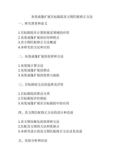 灰度成像扩展目标跟踪直方图匹配修正方法