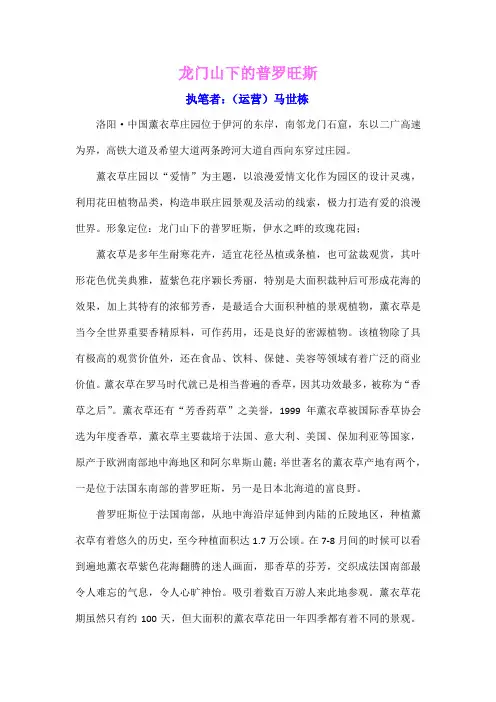 薰衣草---龙门山下的普罗旺斯