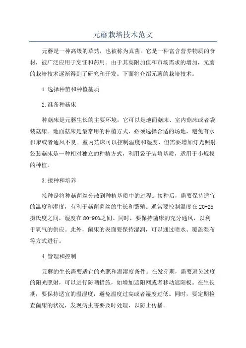 元蘑栽培技术范文