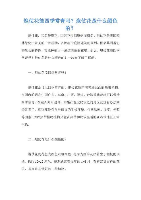 炮仗花能四季常青吗？炮仗花是什么颜色的？