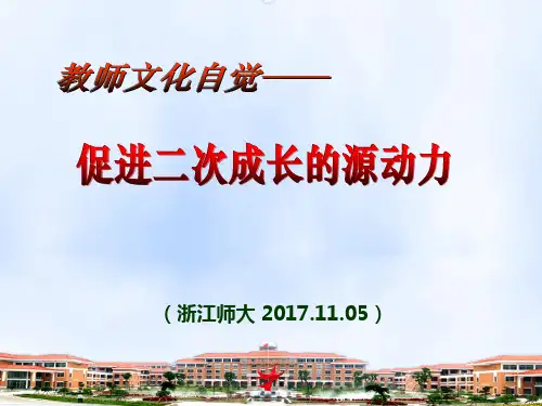 .11.05 吴加澍_教师二次专业成长PPT课件