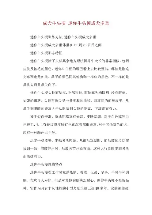 成犬牛头梗-迷你牛头梗成犬多重
