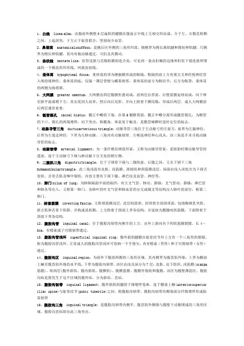 局解名词解释