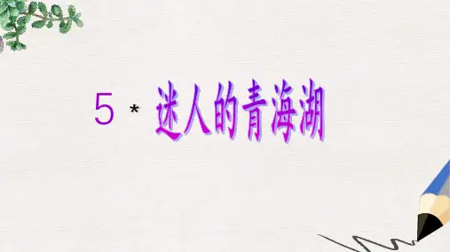六年级语文下册 第2单元 5《迷人的青海湖》课件3 语文A版