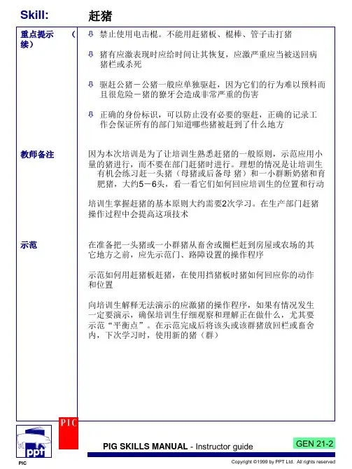 赶猪