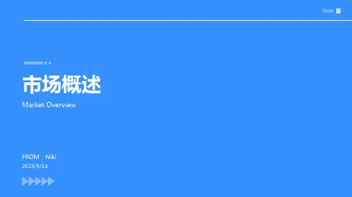 2023年燃气表行业市场现状分析报告模板