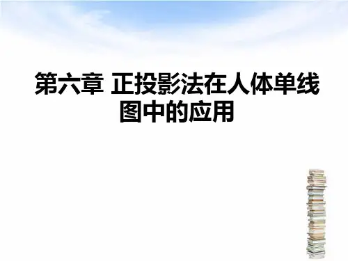 《体育绘图》课件06