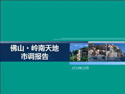 佛山岭南天地市场调查报告201410