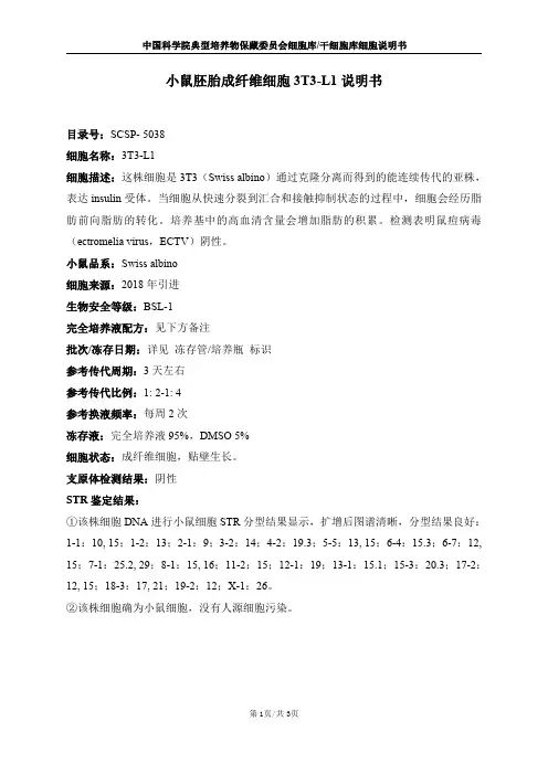 3T3-L1 细胞说明书
