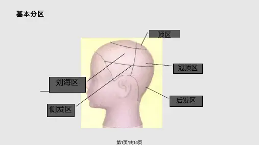 盘发造型分区PPT课件