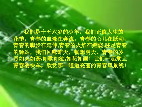 青春 作文指导