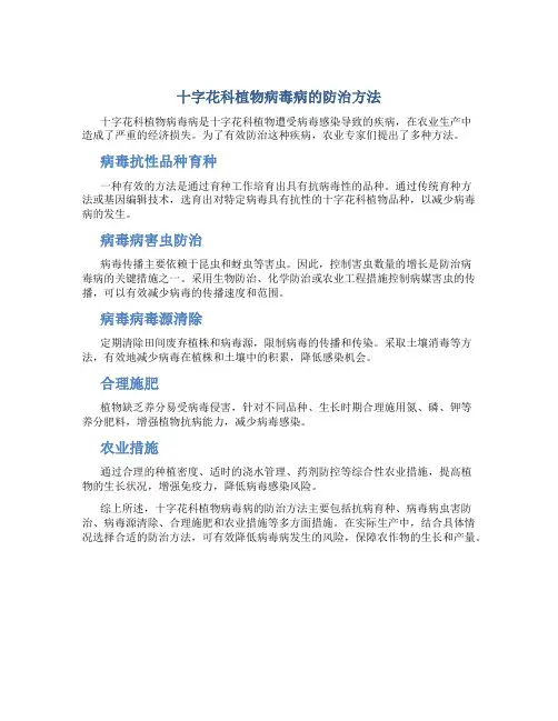 十字花科植物病毒病的防治方法有哪些