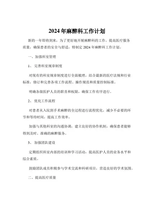 2024年麻醉科工作计划