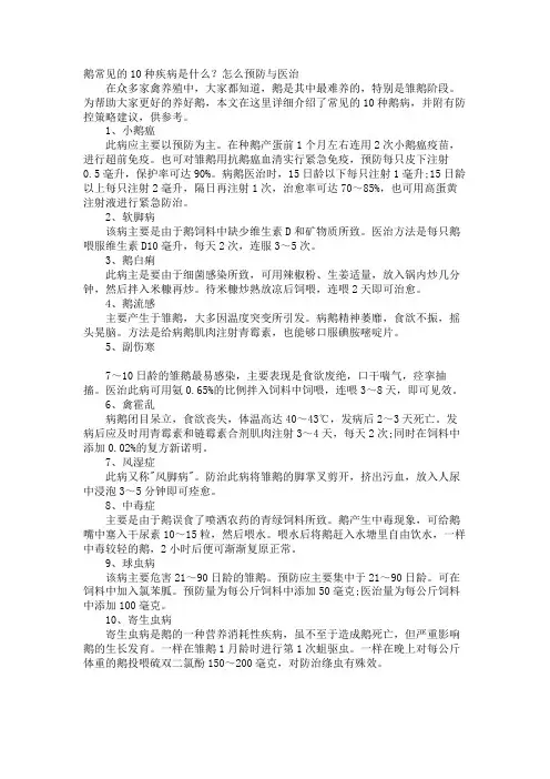 鹅常见的10种疾病是什么？怎么预防与治疗