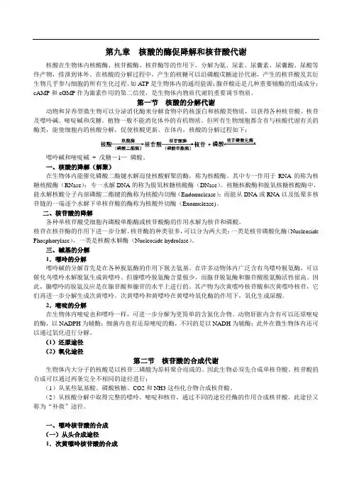 核酸的降解