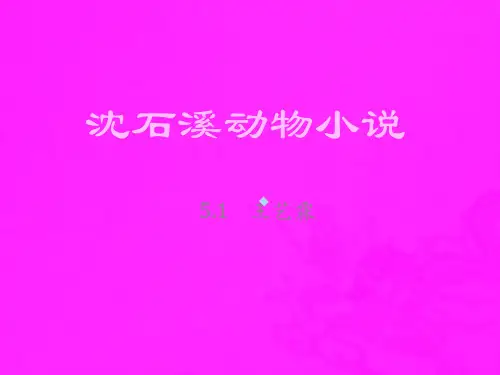沈石溪动物小说PPT课件