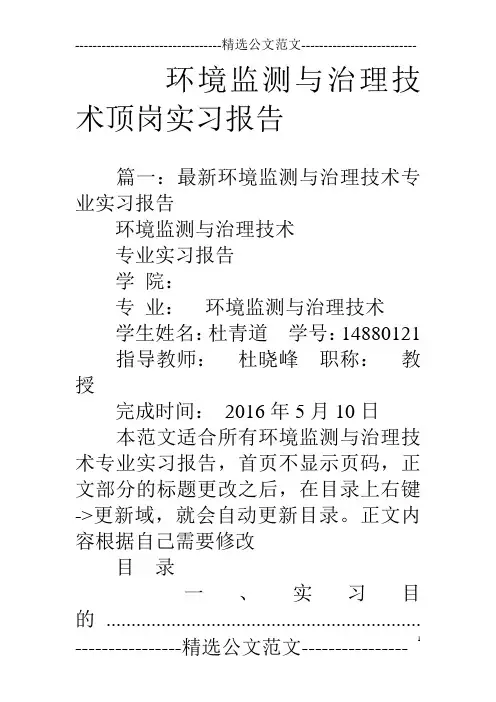 环境监测与治理技术顶岗实习报告