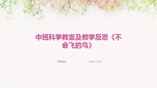 中班科学教案及教学反思《不会飞的鸟》