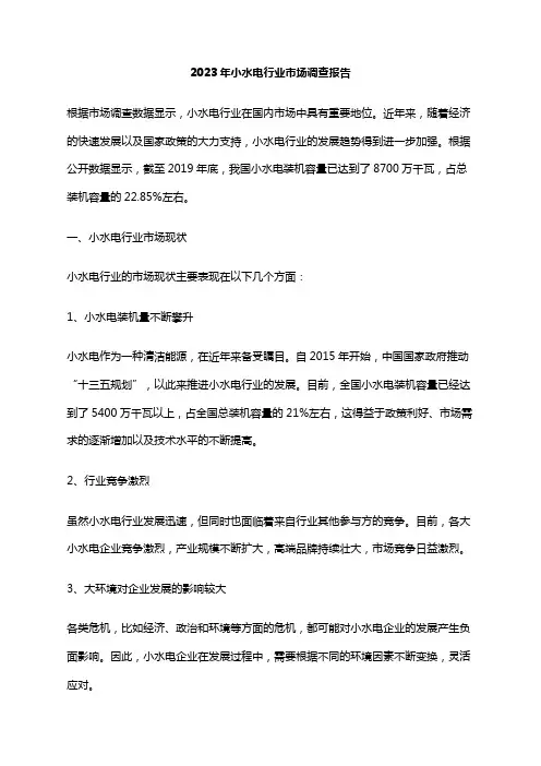 2023年小水电行业市场调查报告