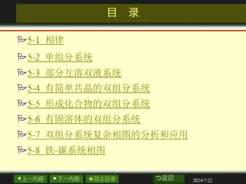 工学第五章相平衡课件